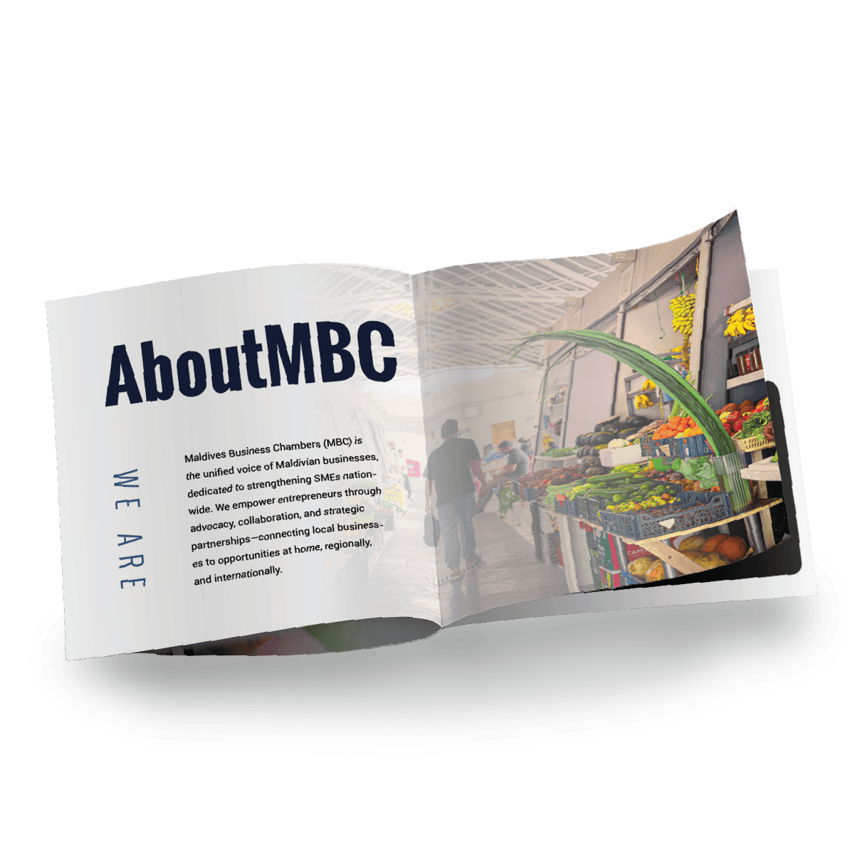 Marketing collateral 2